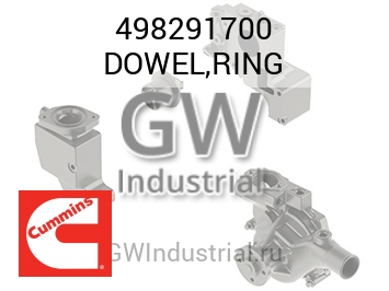 DOWEL,RING — 498291700