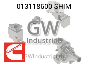 SHIM — 013118600