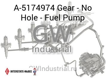 Gear - No Hole - Fuel Pump — A-5174974