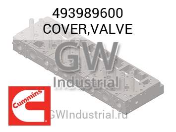 COVER,VALVE — 493989600