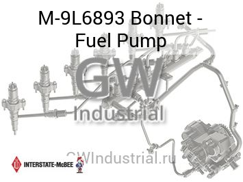 Bonnet - Fuel Pump — M-9L6893