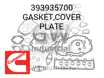 GASKET,COVER PLATE — 393935700