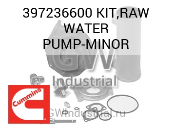 KIT,RAW WATER PUMP-MINOR — 397236600