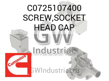 SCREW,SOCKET HEAD CAP — C0725107400
