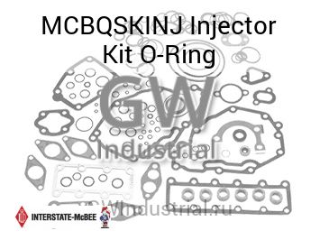 Injector Kit O-Ring — MCBQSKINJ