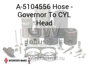 Hose - Governor To CYL Head — A-5104556