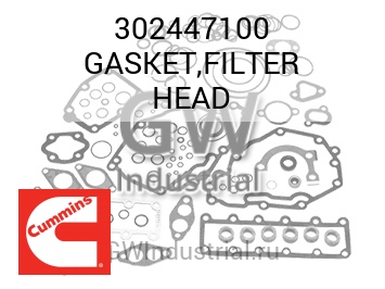 GASKET,FILTER HEAD — 302447100