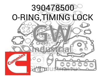 O-RING,TIMING LOCK — 390478500
