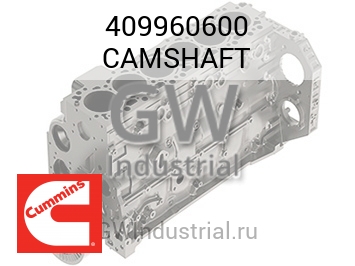 CAMSHAFT — 409960600