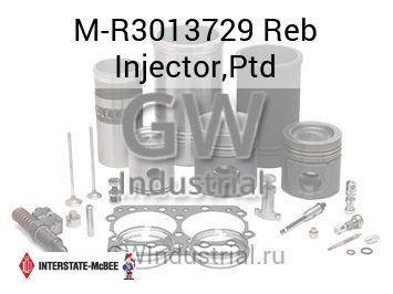 Reb Injector,Ptd — M-R3013729