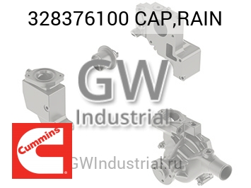 CAP,RAIN — 328376100