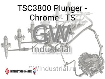 Plunger - Chrome - TS — TSC3800