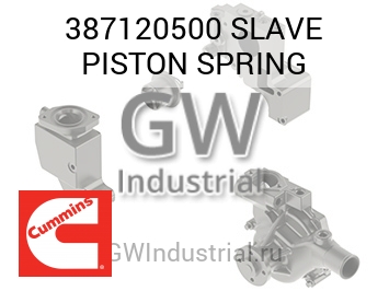 SLAVE PISTON SPRING — 387120500