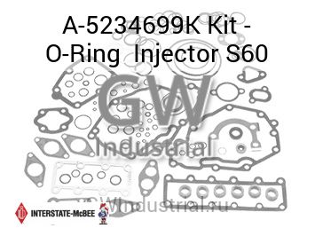 Kit - O-Ring  Injector S60 — A-5234699K