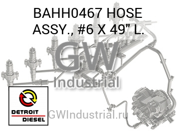 HOSE ASSY., #6 X 49