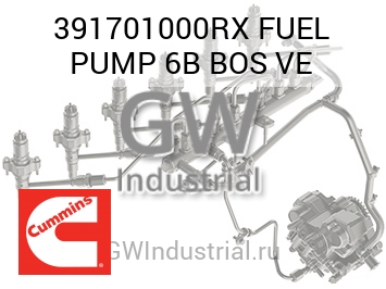 FUEL PUMP 6B BOS VE — 391701000RX