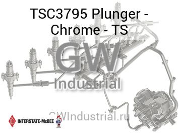 Plunger - Chrome - TS — TSC3795