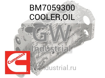 COOLER,OIL — BM7059300