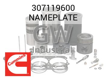 NAMEPLATE — 307119600