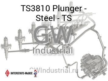 Plunger - Steel - TS — TS3810