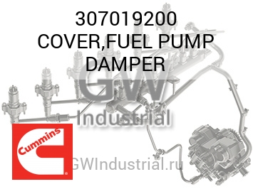 COVER,FUEL PUMP DAMPER — 307019200