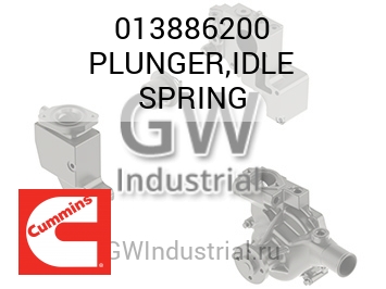 PLUNGER,IDLE SPRING — 013886200