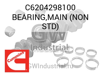 BEARING,MAIN (NON STD) — C6204298100