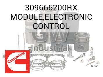 MODULE,ELECTRONIC CONTROL — 309666200RX