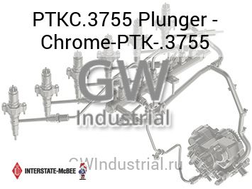 Plunger - Chrome-PTK-.3755 — PTKC.3755
