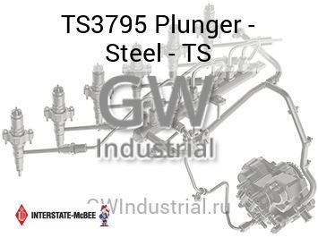 Plunger - Steel - TS — TS3795