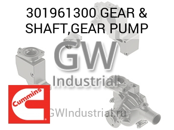 GEAR & SHAFT,GEAR PUMP — 301961300