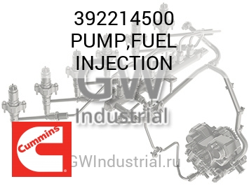 PUMP,FUEL INJECTION — 392214500