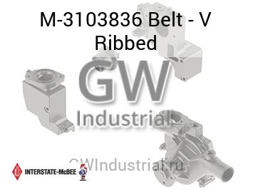 Belt - V Ribbed — M-3103836
