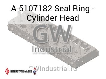 Seal Ring - Cylinder Head — A-5107182