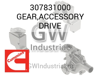 GEAR,ACCESSORY DRIVE — 307831000