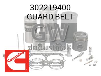 GUARD,BELT — 302219400