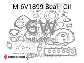 Seal - Oil — M-6V1899