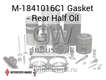 Gasket - Rear Half Oil — M-1841016C1