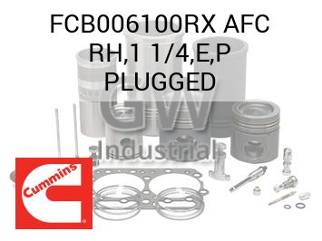 AFC RH,1 1/4,E,P PLUGGED — FCB006100RX