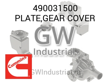 PLATE,GEAR COVER — 490031500
