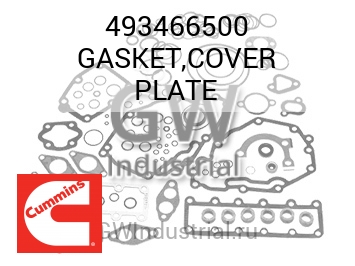 GASKET,COVER PLATE — 493466500