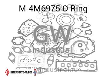 O Ring — M-4M6975