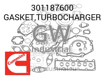 GASKET,TURBOCHARGER — 301187600