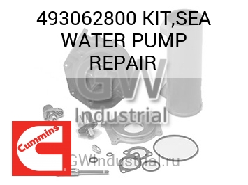 KIT,SEA WATER PUMP REPAIR — 493062800