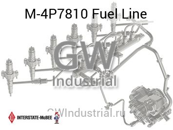 Fuel Line — M-4P7810