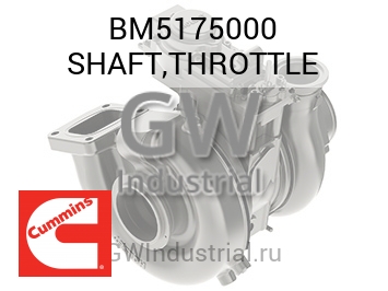 SHAFT,THROTTLE — BM5175000