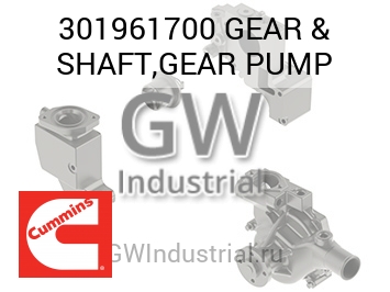 GEAR & SHAFT,GEAR PUMP — 301961700