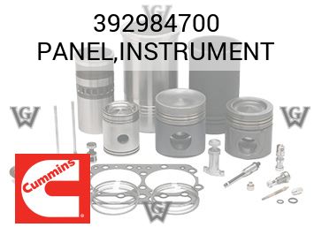 PANEL,INSTRUMENT — 392984700