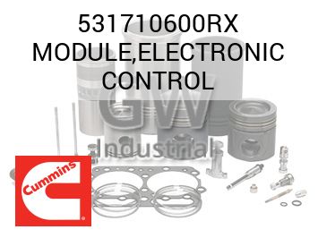 MODULE,ELECTRONIC CONTROL — 531710600RX