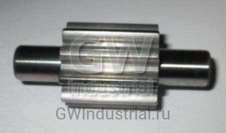 Gear & Shaft — M-3019617